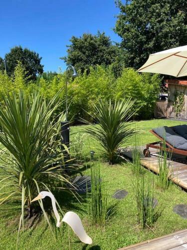 Lege Cap Ferret Superbe Villa Bois Avec Piscine