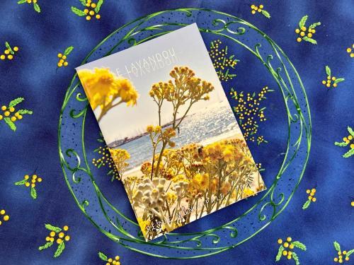 Cozy Gite With Sea View, In Le Lavandou