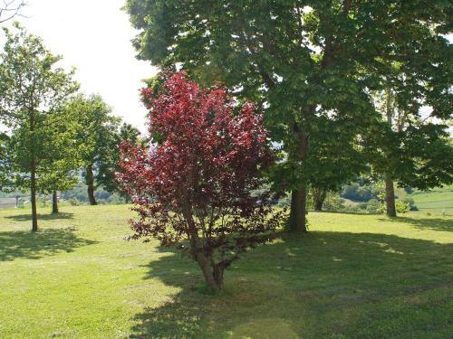 Holiday Home Domicilium Citerna