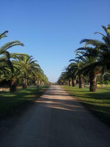 Santa Igia B&B - Country House