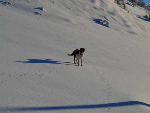 Agroturismo Untertelshof