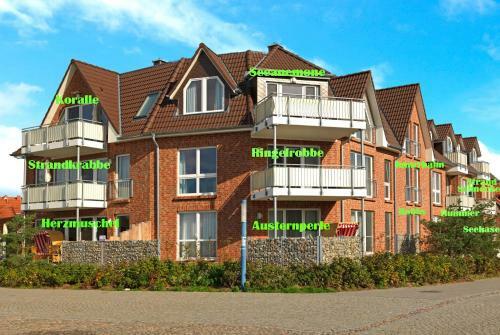 Apartamento Haus S�dwester Strandschnecke