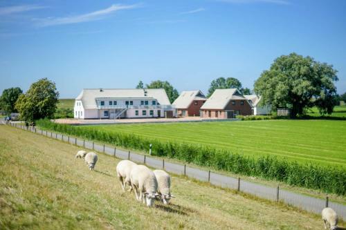 Apartamento Ferienanlage "gut Tossens"