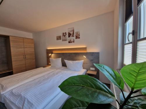 Apartamento Ferienwohnungen Haus Seebad Ueckerm�nde