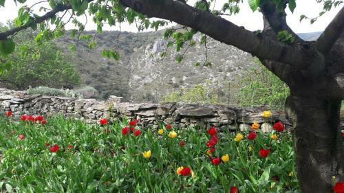 Agroturismo Le G�te Fleuri