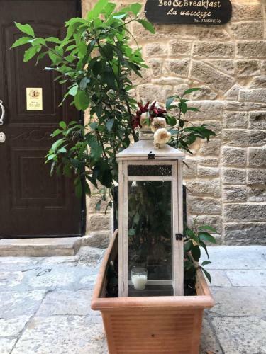 B&B La Uascezze