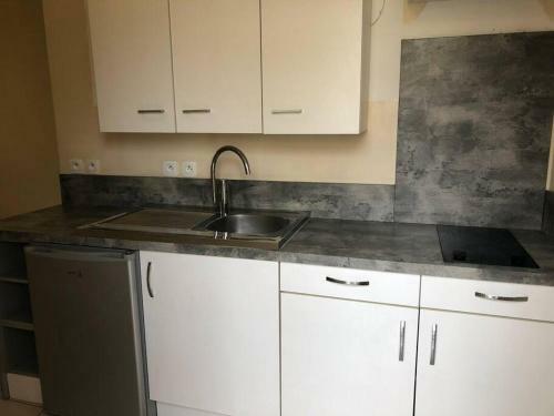 Apartamento Studio Calme - Centre Isle Sur La Sorgue (animaux)