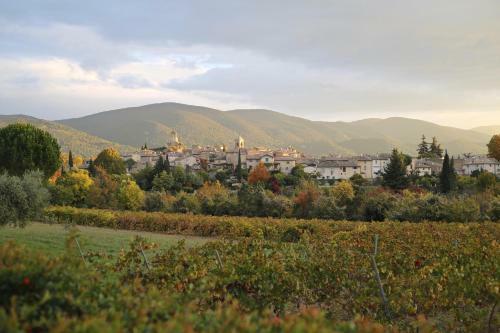 Apartamento Camillette 1. Gite Face Au Luberon.