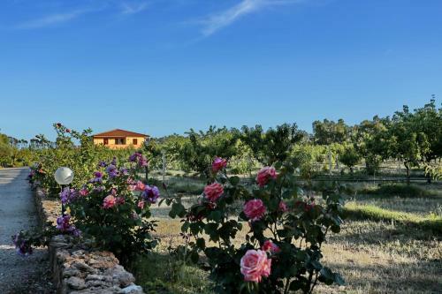 Bed And Breakfast Le Camelie