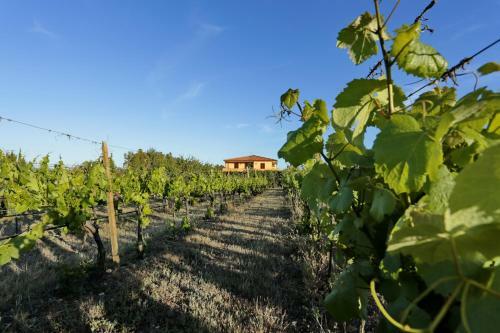 Bed And Breakfast Le Camelie