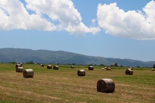 Agroturismo Agriturismo La Facenda