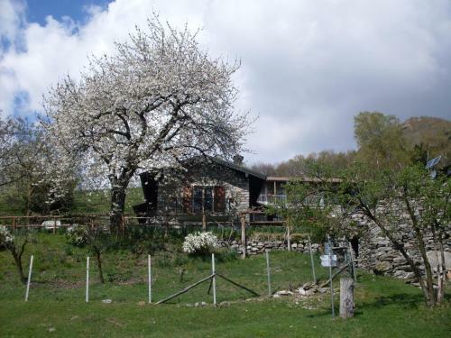Agroturismo Agriturismo Da Attilio