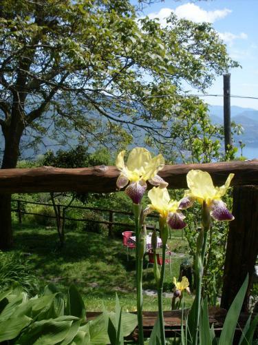 Agroturismo Agriturismo Da Attilio