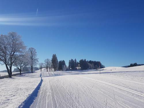 Apartamento Ferienwohnung Im Kuhlen Allg�u