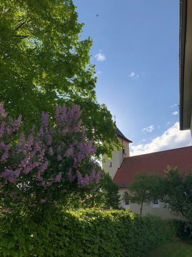Apartamento Altes Schulhaus Mutschelbach