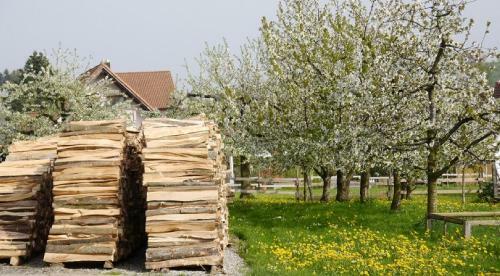 Apartamento Haus Sonnengru�