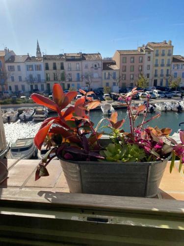 Apartamento Charmant Studio Sur La Venise Proven�ale 32m2