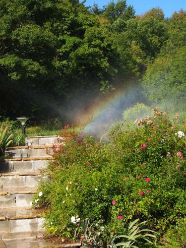 Bed & Breakfast Il Giardino Di Rosmarino