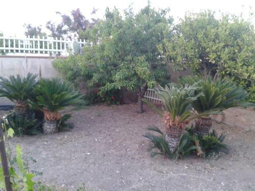 Apartamento Granelli Di Sabbia Village