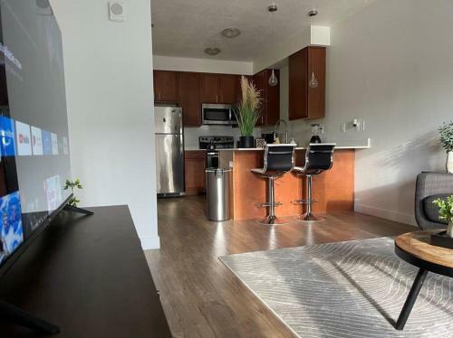 Luxury 1-bedroom Apartment