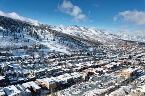 Sweet Ski-in Ski-out Snowflower Studio Condo