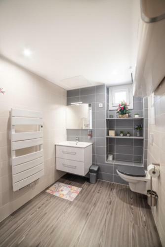 Apartamento Appartement Ensoleill� Ax�e Tramway Groupama Lyon