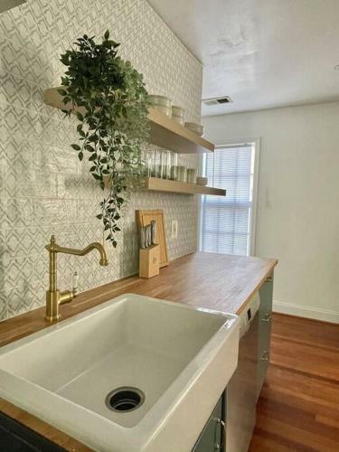Brand New, Cozy, Modern, One-bedroom Apartment