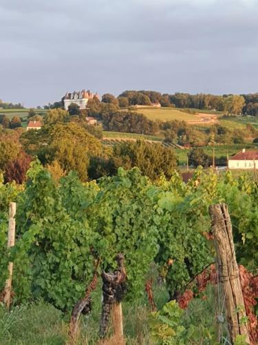 Hostal Clair De Vigne