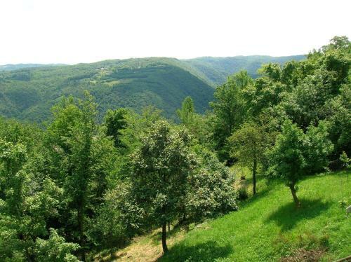 B&B Il Suono Del Bosco