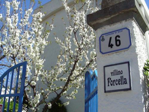 Agroturismo Pier Delle Vigne B&B
