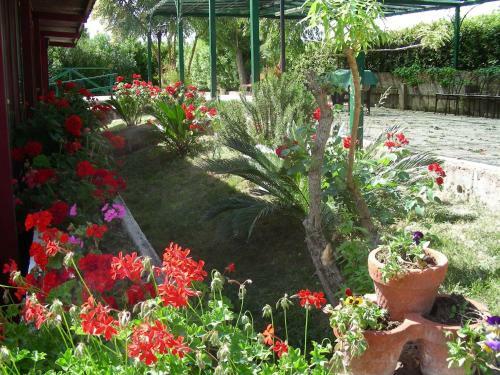 Agroturismo Pier Delle Vigne B&B