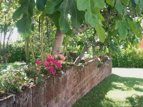 Agroturismo Pier Delle Vigne B&B