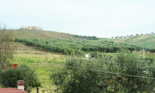 Agroturismo Pier Delle Vigne B&B