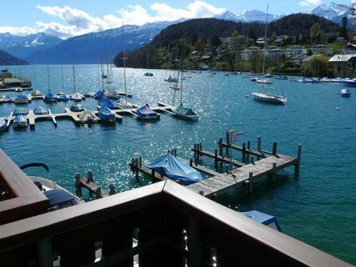 Hotel-restaurant Seegarten-marina