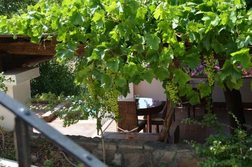 Hotel Residenza Rio Molas