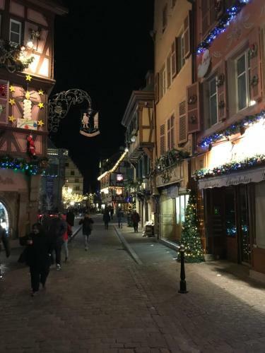 Apartamento Alsace Campagne Prox Colmar Jardin Piste Cyclable