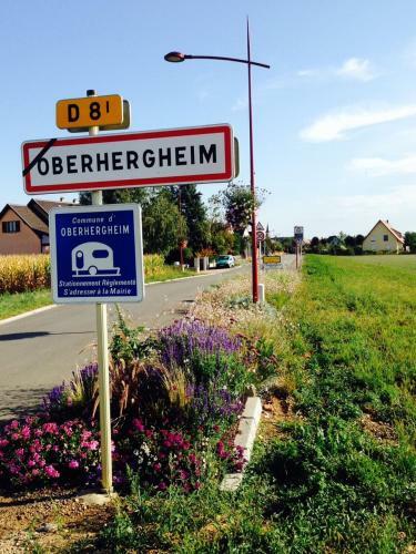 Apartamento Alsace Campagne Prox Colmar Jardin Piste Cyclable
