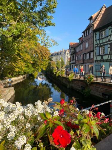 Apartamento Alsace Campagne Prox Colmar Jardin Piste Cyclable