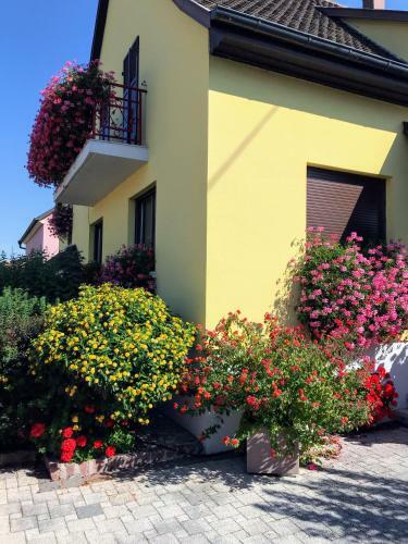 Apartamento Alsace Campagne Prox Colmar Jardin Piste Cyclable