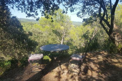 Sous Les Ch�nes