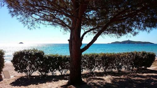 Hotel R�sidences A Ruscana