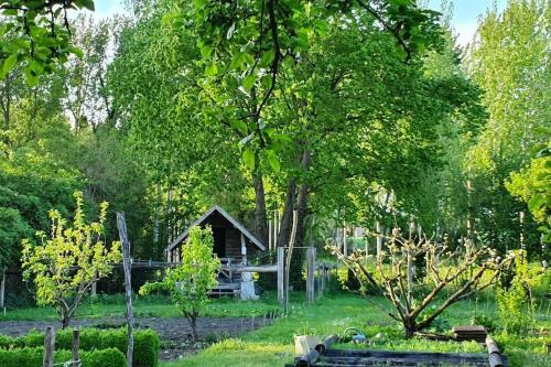 Lovely Cottage With Big Garden_razines