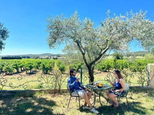 Hostal Maison D�h�tes Le Mas Des Vignes
