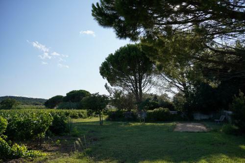 Hostal Maison D�h�tes Le Mas Des Vignes