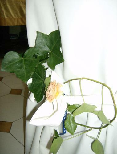 Bed & Breakfast Il Giardino Delle Farfalle