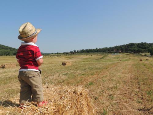 Agroturismo Agriturismo Podere Borgognano