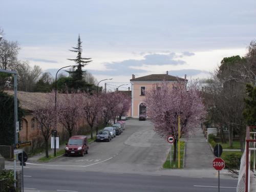 Hotel Al Flor