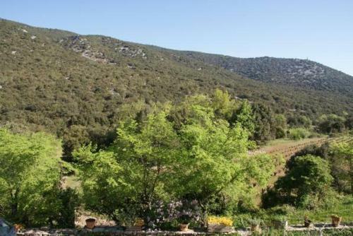 Agroturismo Bergerie Du Pic Saint-loup