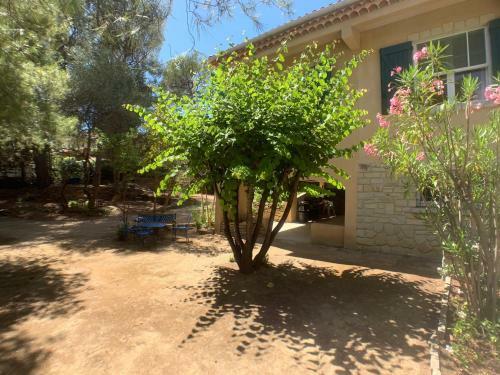 Villa Provence 800 M Plage Des Lecques