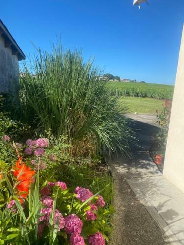 Le Jardin De Vignobles Fabris